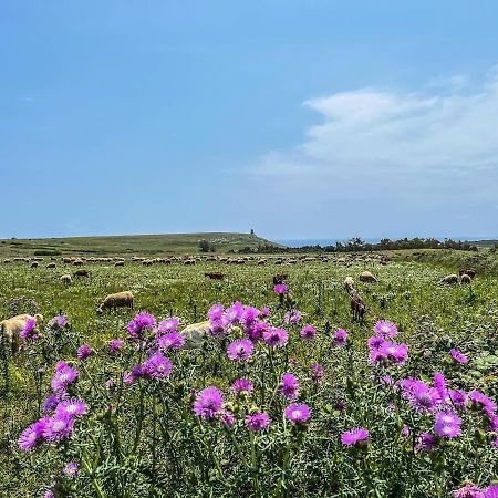 Casetta Degli Ulivi Uggiano La Chiesa Eksteriør billede