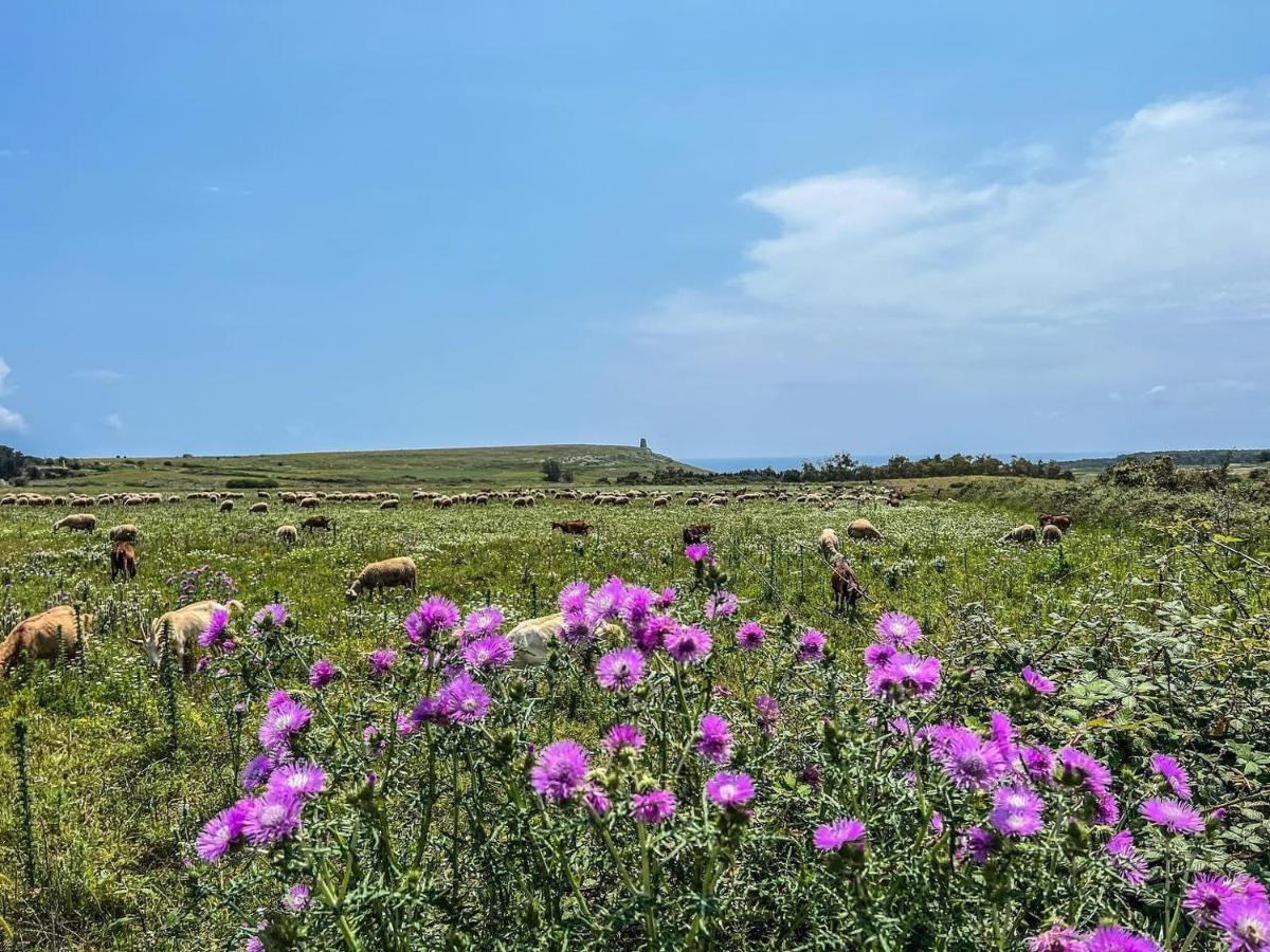 Casetta Degli Ulivi Uggiano La Chiesa Eksteriør billede